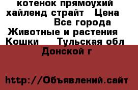 котенок прямоухий  хайленд страйт › Цена ­ 10 000 - Все города Животные и растения » Кошки   . Тульская обл.,Донской г.